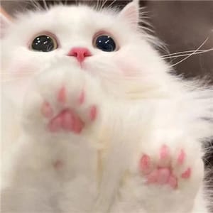 Ảnh đại diện người dùng 202211071667790050376551